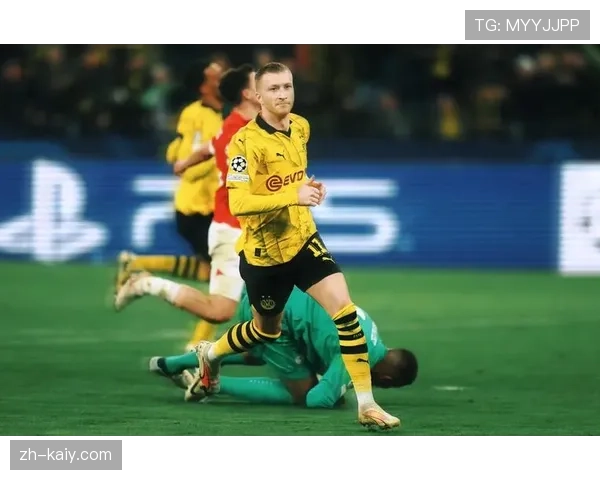 特写：威斯特法伦南看台巨型TIFO，致敬功勋队长罗伊斯